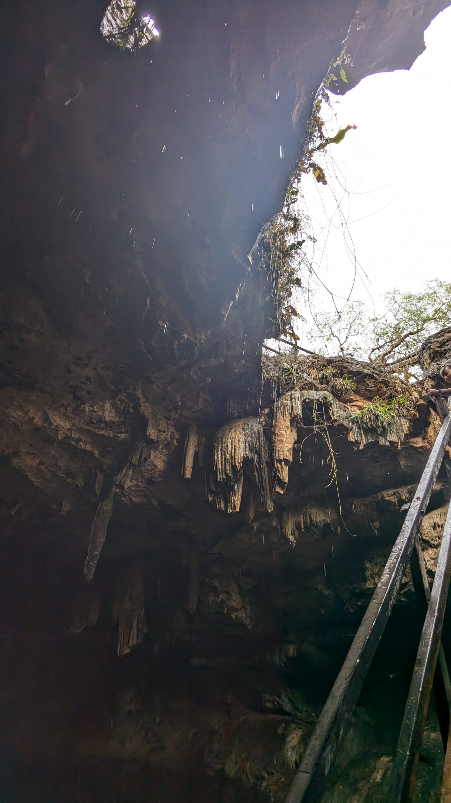 Complete Guide to Cenote Swimming in Yucatán